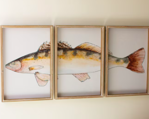 Triptych Trout Print