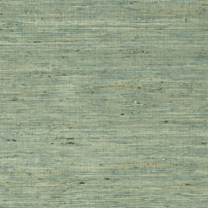 Maranta Arrowroot Teal