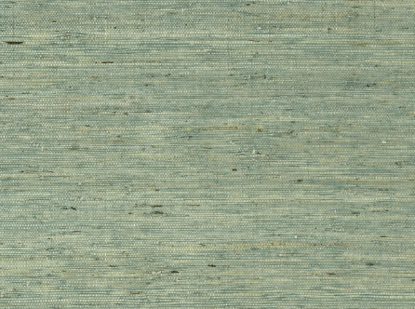 Maranta Arrowroot Teal