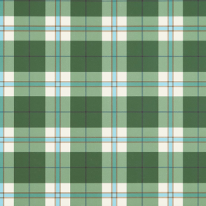 Douglas Plaid Green