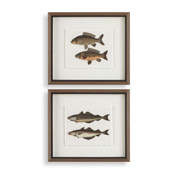 The Catch Set/2