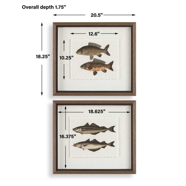 The Catch Set/2 - Image 4