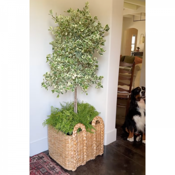 Large Rush Basket - Image 2